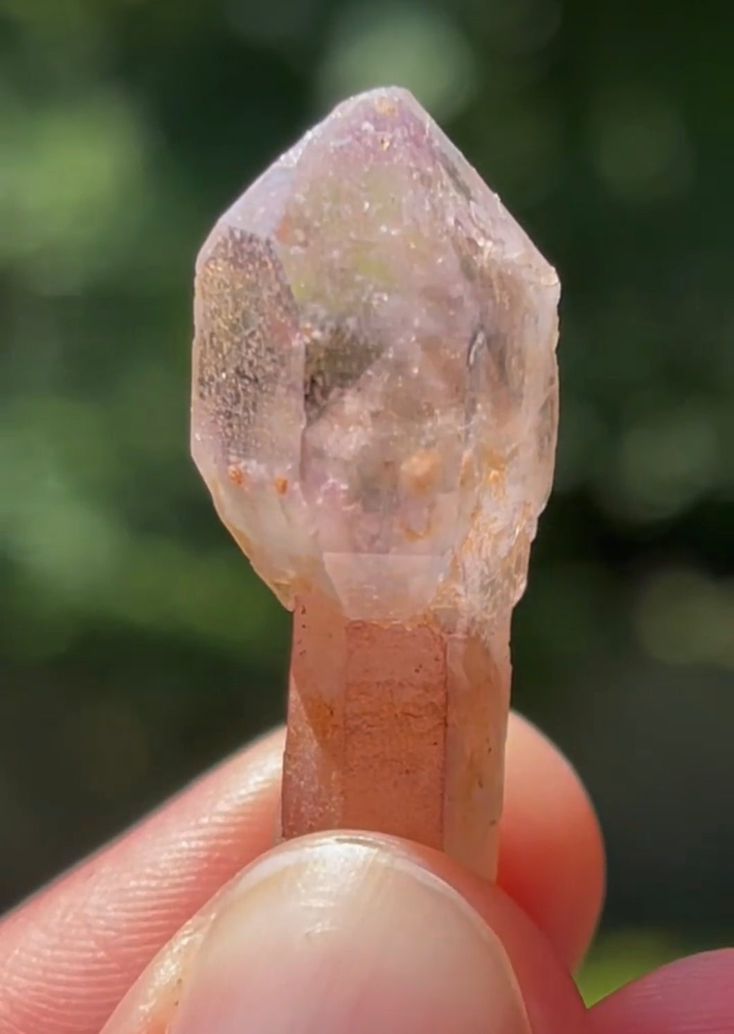 Amethyst Scepter