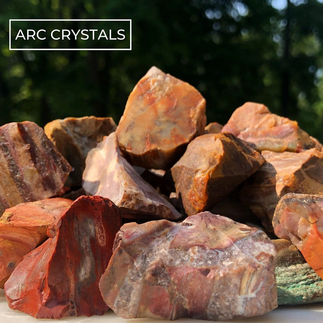 Petrified Wood